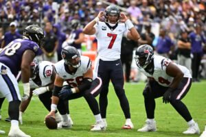 Houston Texans/ Texans Fans/NFL/ Houston Texas/ Houston/ Landon Buford The Journalist/Landon Buford.com