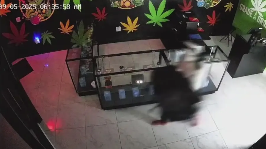 Masked burglar caught on surveillance entering Pasadena dispensary after cutting through walls